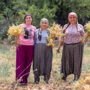 mersin-buyuksehir-belediyesi-atalik-nohut-uretimini-destekliyor