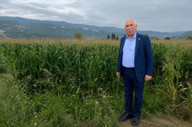 chp-tokat-milletvekili-durmaz:-misir-fiyati-17-tl-olmali