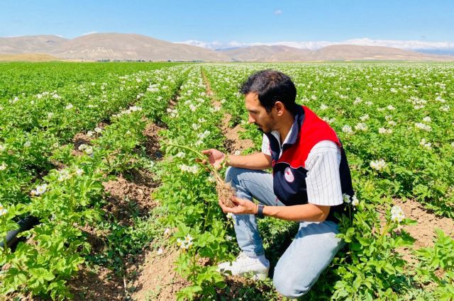 bayburt'ta-patateste-karantina-hastaligina-rastlanmadi