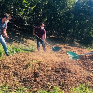 giresun-il-tarim-mudurlugu’nden-findik-zurufu-uyarisi