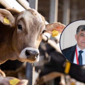 33.-dunya-buiatri-kongresi-ilk-kez-turkiye’de-duzenlenecek