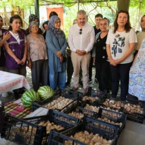 adana’da-13-kadin-ureticiye-23-bin-400-beyaz-zambak-sogani-dagitildi