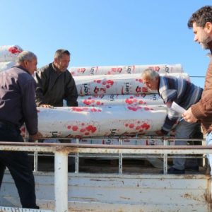 antalya’da-afet-sonrasi-ureticiye-657-bin-metrekare-sera-ortusu-destegi