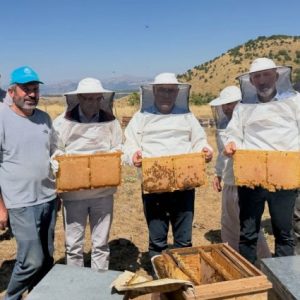 karakocan’da-cografi-isaretli-geven-bali-hasadi-yapildi