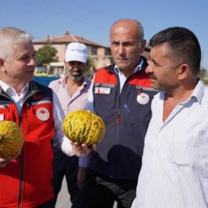 cankiri-kizilirmak’ta-kavun-hasadi-basladi