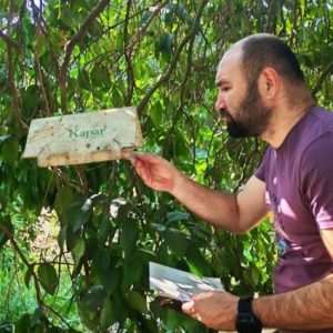 antalya’da-meyve-sinegine-karsi-tuzak-kontrolleri-yapildi