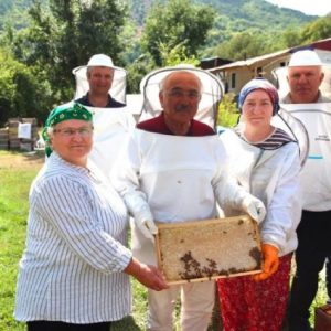 ordu-buyuksehir-belediyesi-aricilara-varroa-destegi-verecek