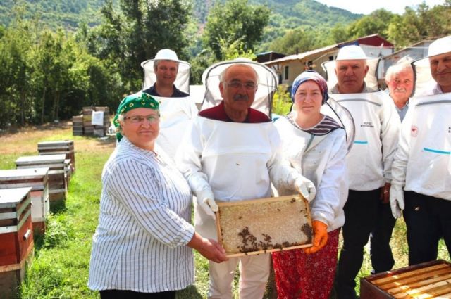 ordu-buyuksehir-belediyesi-aricilara-varroa-destegi-verecek