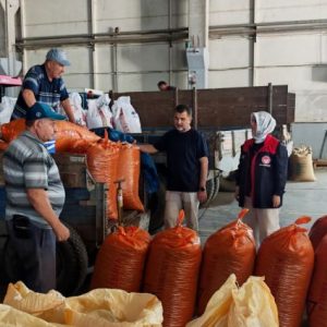 duzce’de-tmo-findik-alim-sezonuna-kilosu-255-liradan-almaya-basladi