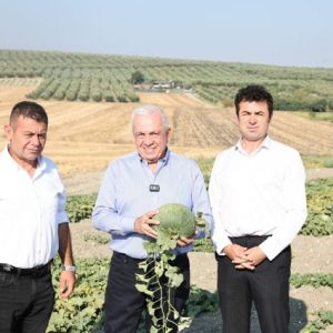 nilufer-belediyesi-konakli’da-hirsiz-almaz-kavununu-hasat-etti