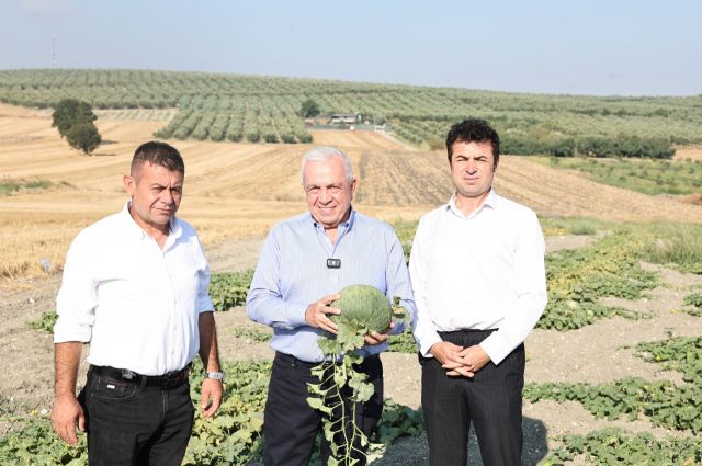 nilufer-belediyesi-konakli’da-hirsiz-almaz-kavununu-hasat-etti
