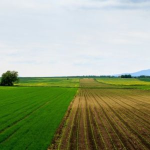 brezilya-gubrede-ithalata-bagimliligi-azaltacak-programi-onayladi