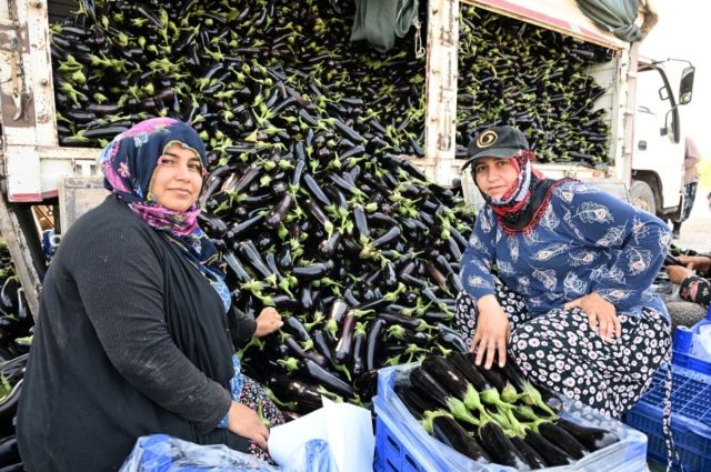 manisa’da-selde-zarar-goren-ureticiye-yuzde-100-hibe-fide-destegi