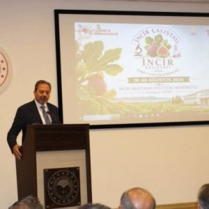 tagem,-aydin’da-incir-icin-100-milyon-liralik-ar-ge-istedi