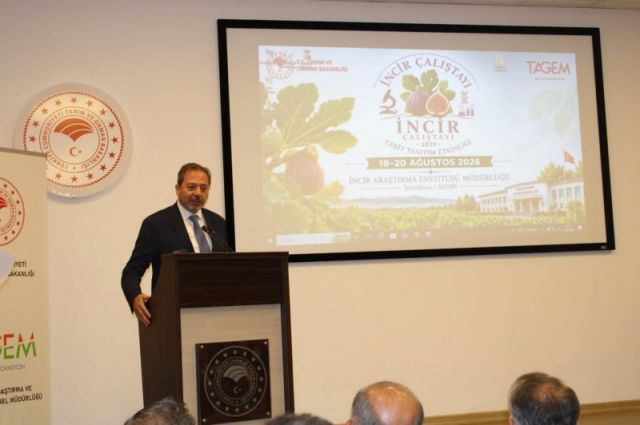 tagem,-aydin’da-incir-icin-100-milyon-liralik-ar-ge-istedi